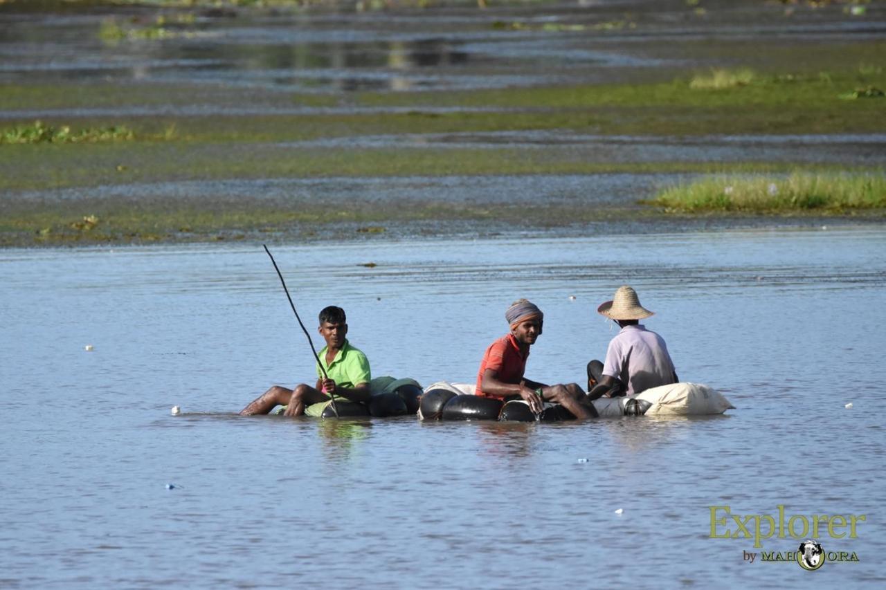 Explorer By Eco Team - Wasgamuwa National Park Екстер'єр фото