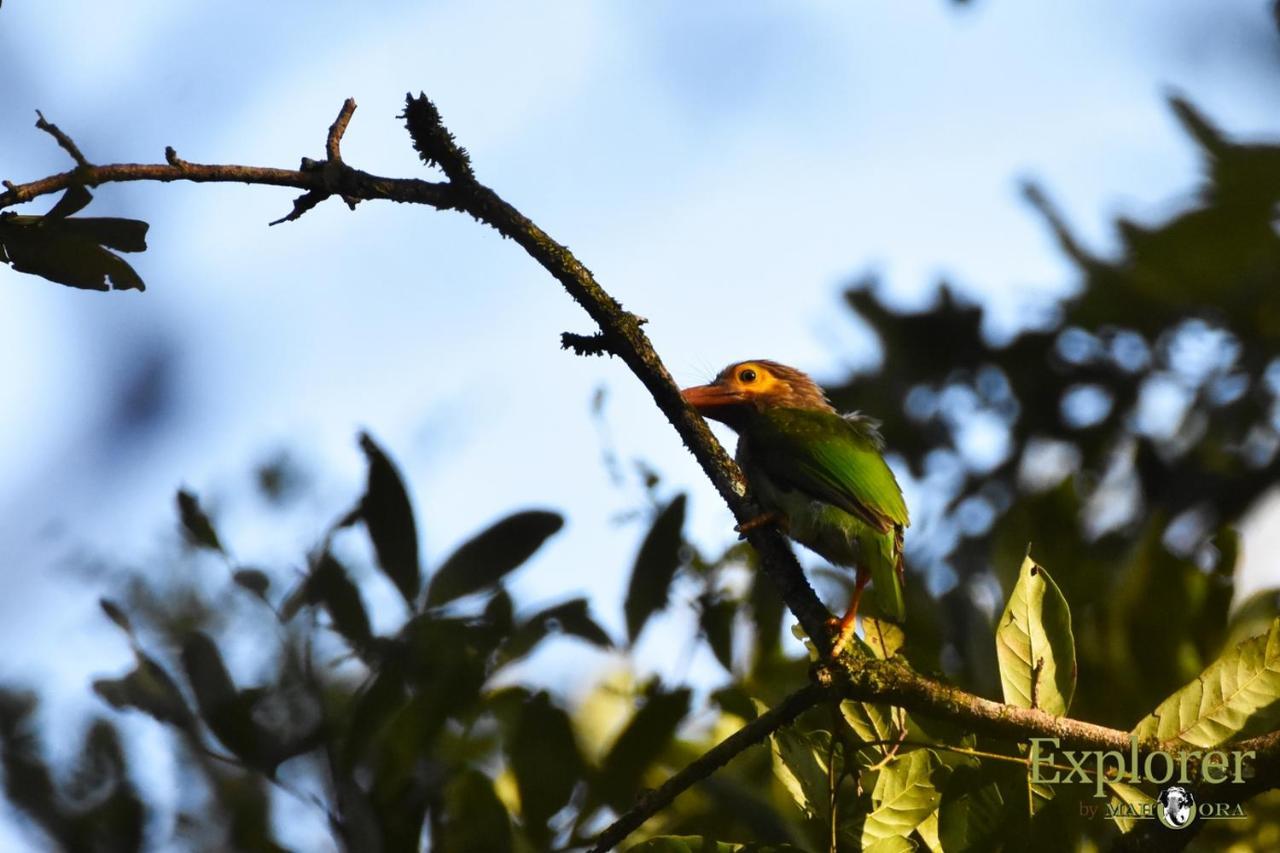 Explorer By Eco Team - Wasgamuwa National Park Екстер'єр фото